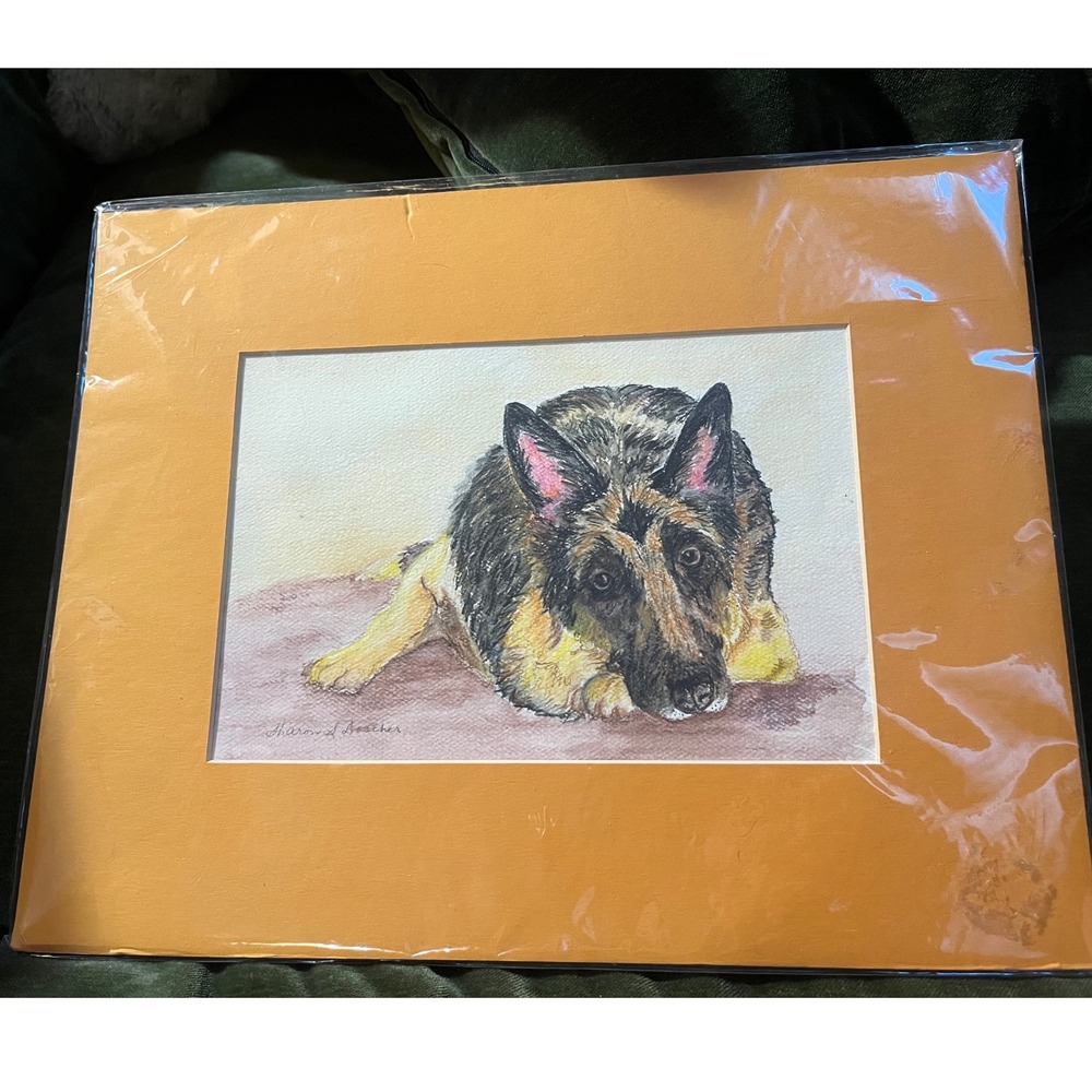 Sharon S Doscher Original Watercolor German Shepherd Dog Portrait Matted 11x14